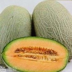 娱乐圈最新冲突揭秘：吃瓜酱与考拉的神秘打架真相大曝光